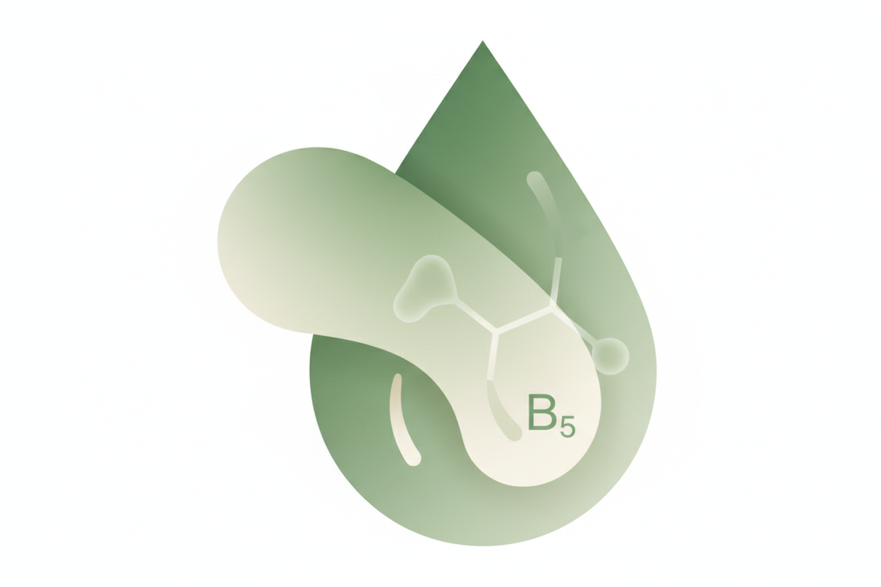 “Create a large Panthenol raw ingredient icon inspired by the color palette of PURITO Mighty Bamboo Panthenol Cream packaging. Use soft natural greens (#5C8A6D and #A4C6A8) with subtle neutral tones to match the Purito aesthetic. Design the icon in a clean, modern, minimal K-beauty style, with smooth rounded shapes and gentle gradients. Include a scientific droplet or molecular B5 element to represent Panthenol. Keep the background pure white, high resolution, transparent edges, and suitable for product pag